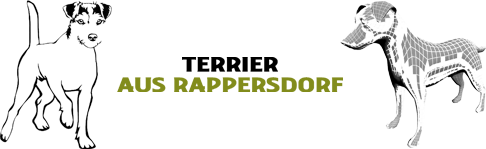 Terrier aus Rappersdorf